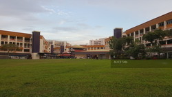 Blk 221 Tampines Street 24 (Tampines), HDB 3 Rooms #220206871